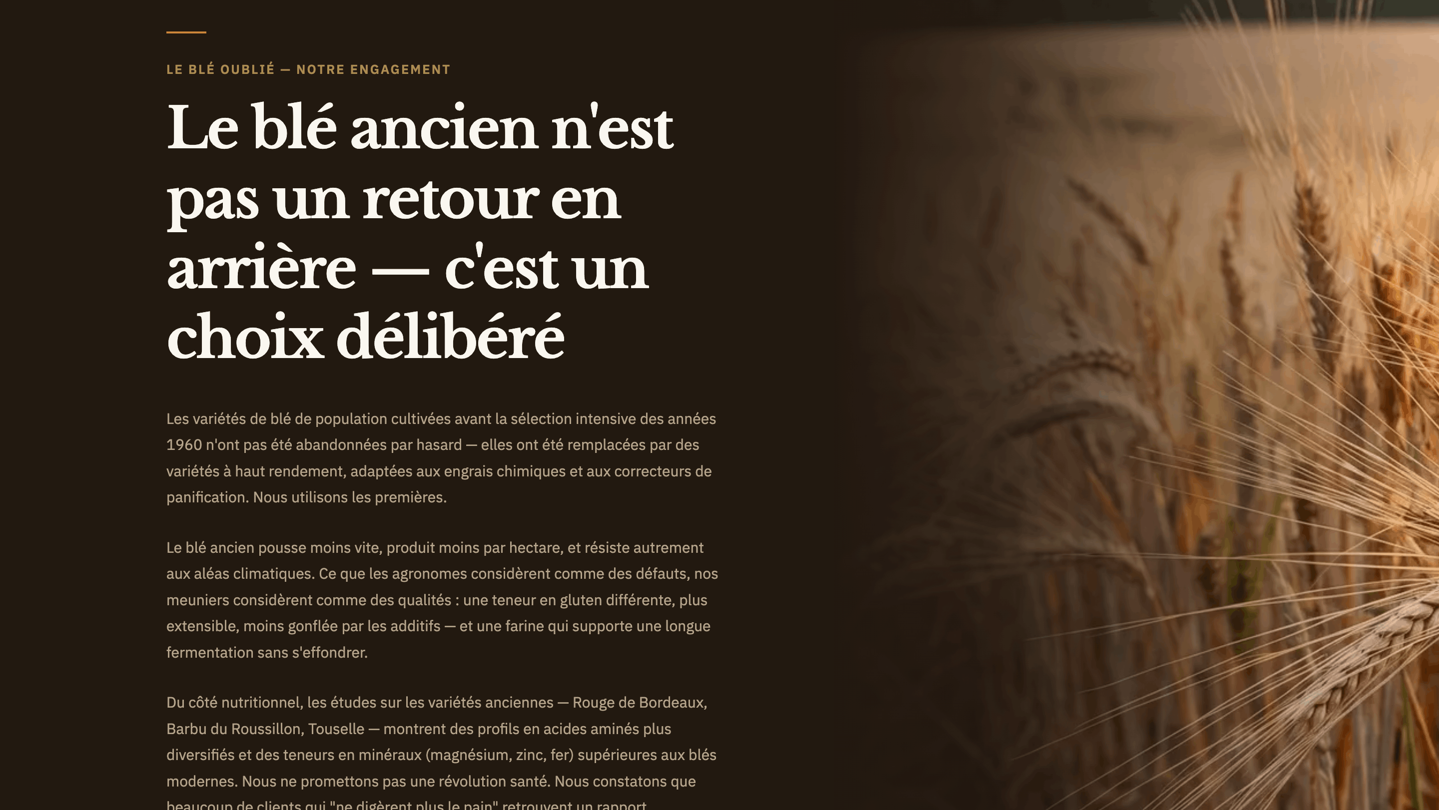 La Mie Ancienne — 3